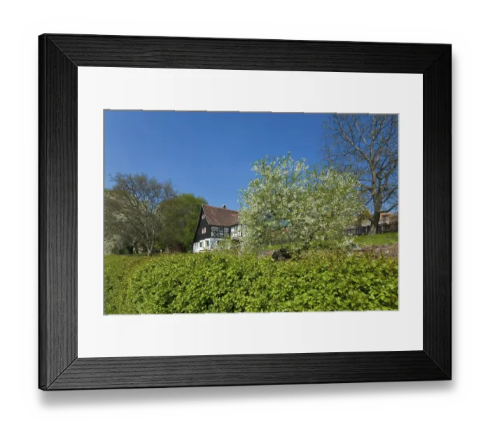 Framed Print : Half-timbered house in Pillnitz in spring