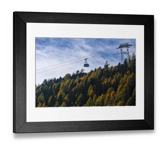 Framed Print : Gondola lift floats over larch forest Framed Print : Gondola lift floats over larch forest