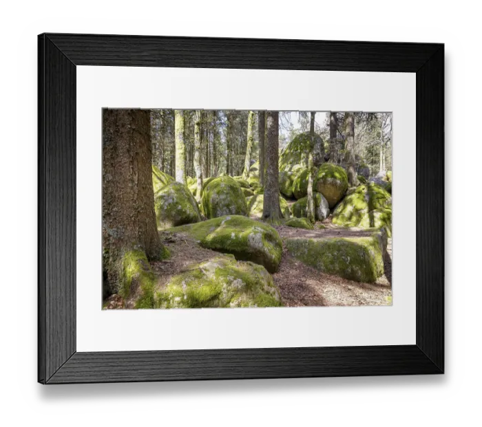 Framed Print : Granite rock Guenterfelsen near the source of the Danube