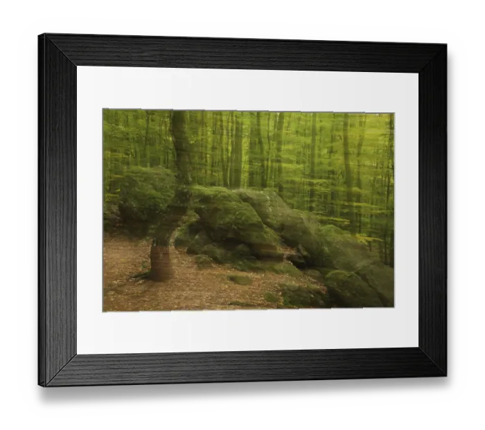 Framed Print : Photo art in the forest with rocks with moss