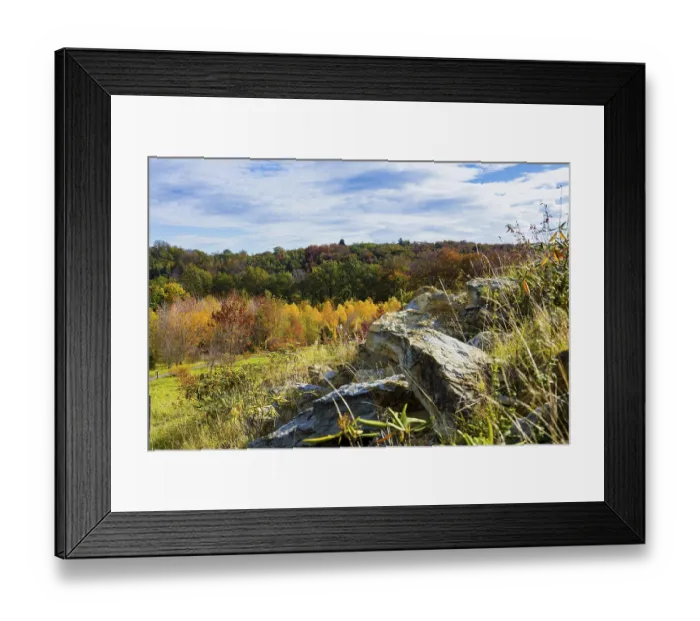 Framed Print : The Forest Botanical Garden Tharandt is an institution of the Technical University of Dresden