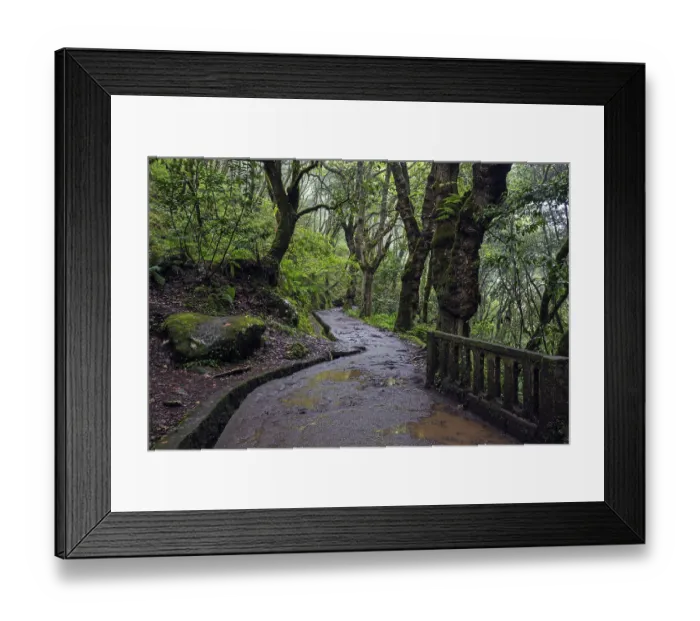 Framed Print : PR11 Vereda dos Balcoes hiking trail through laurel forest to the Miradouro Balcoes viewpoint