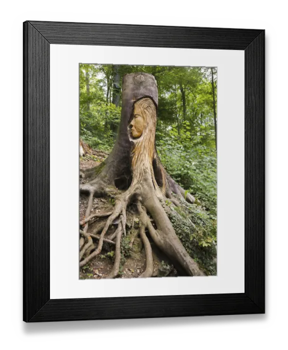 Framed Print : Pfullinger Sagenweg, the face of the Urschel