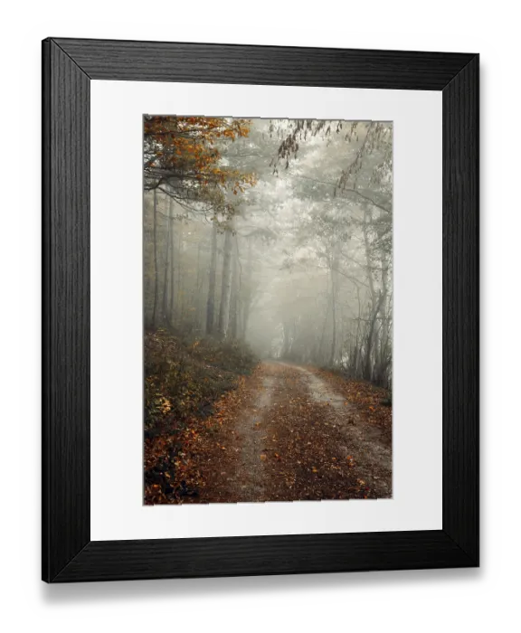 Framed Print : Forest path with autumn leaves and fog Framed Print : Forest path with autumn leaves and fog