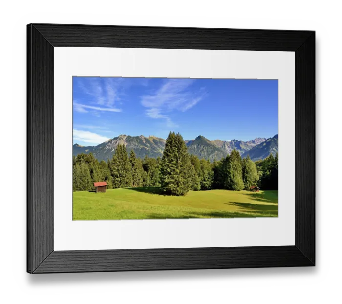 Framed Print : Haystack on a mountain meadow, surrounded by mountain spruces( Picea abies)