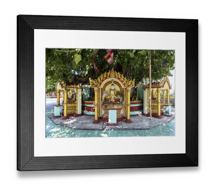 Framed Print : Buddha statues around a huge tree Framed Print : Buddha statues around a huge tree