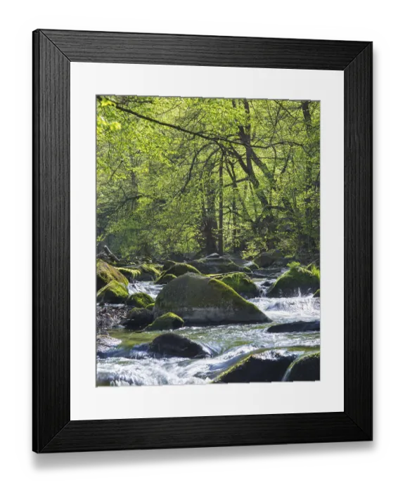 Framed Print : A clear forest river with lush green foliage and sunlight shining through the trees