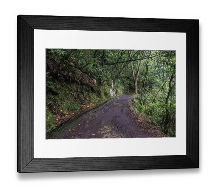 Framed Print : PR11 Vereda dos Balcoes hiking trail through laurel forest to the Miradouro Balcoes viewpoint
