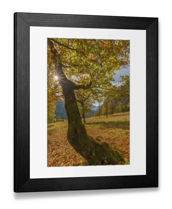 Framed Print : Engtal, Grosser Ahornboden, Karwendel Mountains Framed Print : Engtal, Grosser Ahornboden, Karwendel Mountains