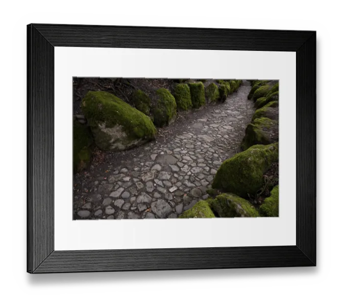 Framed Print : Hohle Gasse, artificial ravine between Immensee and Kuessnacht am Rigi SZ Framed Print : Hohle Gasse, artificial ravine between Immensee and Kuessnacht am Rigi SZ