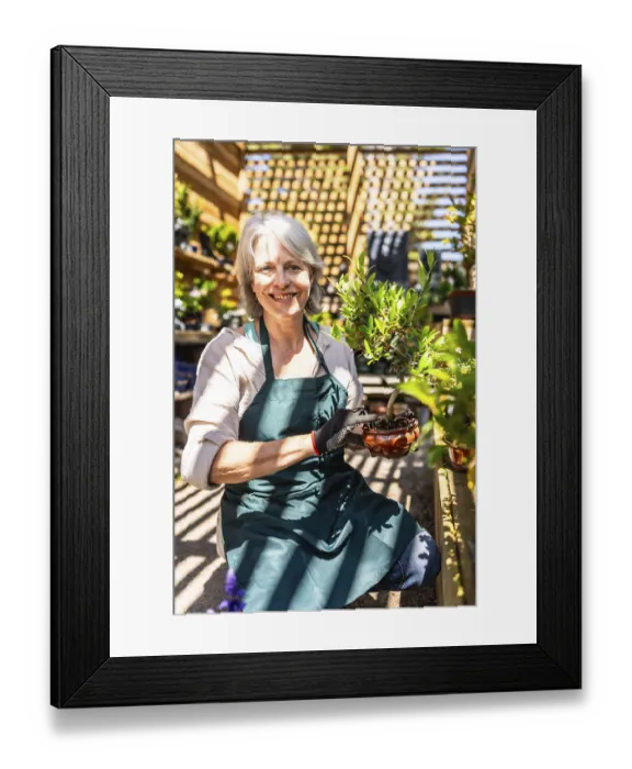 Framed Print : Smiling senior gardener woman wearing gloves and apron holding bonsai plant while working in greenhouse