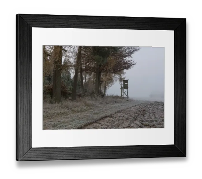 Framed Print : Hunter's blind at the edge of the forest in morning fog