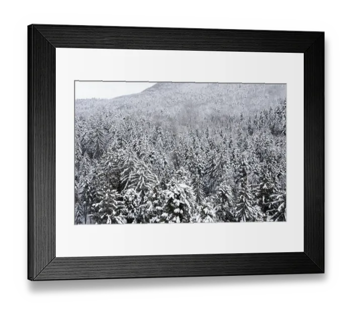 Framed Print : Drone shot, deep snowy coniferous forest