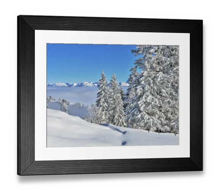 Framed Print : Winter Landscape, Snowy Forest