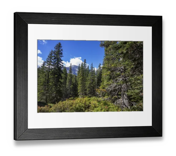Framed Print : Nature experience trail through the Rauris primeval forest