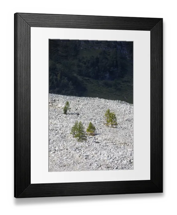 Framed Print : Debris pile after storm in Kolm Saigurn Framed Print : Debris pile after storm in Kolm Saigurn