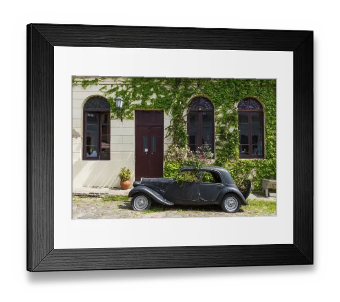 Framed Print : Car wreck of an oldtimer overgrown with plants