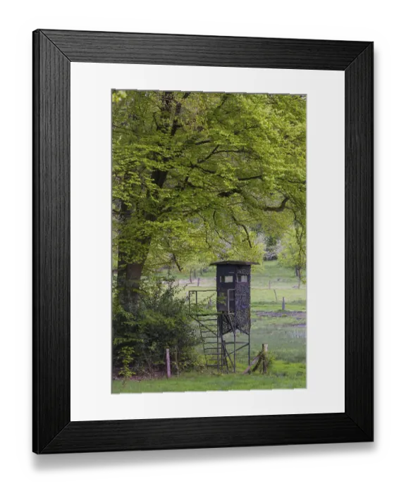 Framed Print : High seat in the Dammer Mountains
