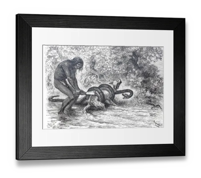 Framed Print : A South American Indian frees his dog from the stranglehold of a boa constrictor constrictor snake