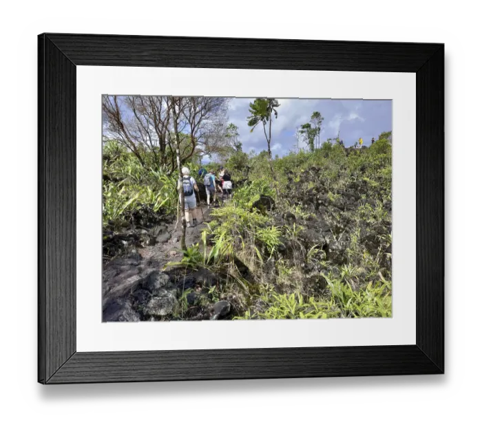 Framed Print : Arenal Volcano National Park, Costa Rica Framed Print : Arenal Volcano National Park, Costa Rica