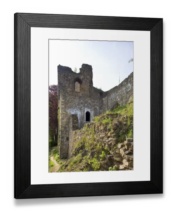Framed Print : Tharandt Castle is the ruins of an important Spornburg for Saxon history on a mountain spur surrounded by
