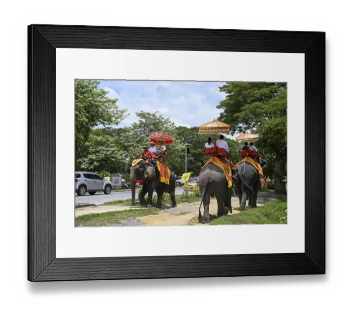 Framed Print : Tourists on riding elephants near the Grand Palace Framed Print : Tourists on riding elephants near the Grand Palace