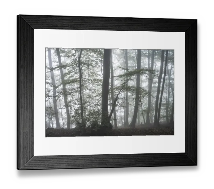Framed Print : Forest on a slope in the fog in autumn