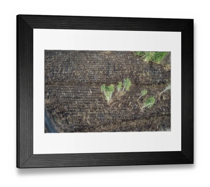 Framed Print : Area in the Arnsberg Forest near Ruethen-Nettelstaedt