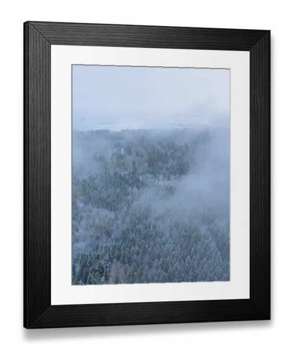 Framed Print : A foggy winter forest from the air with snow-covered trees Framed Print : A foggy winter forest from the air with snow-covered trees