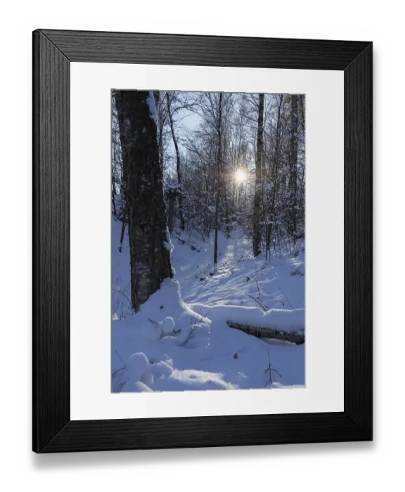 Framed Print : Sun shining in the winter forest