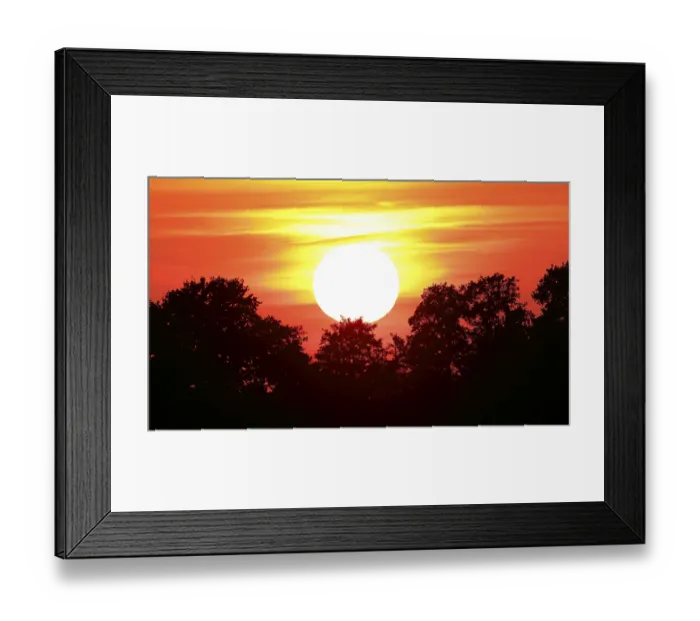 Framed Print : Sunset over trees, nature reserve Oberalsterniederung Framed Print : Sunset over trees, nature reserve Oberalsterniederung