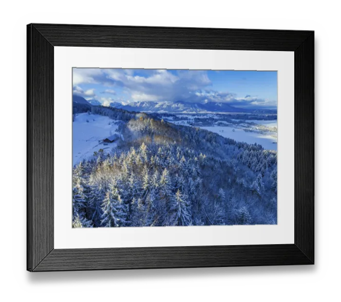 Framed Print : Snow-covered trees in front of mountains