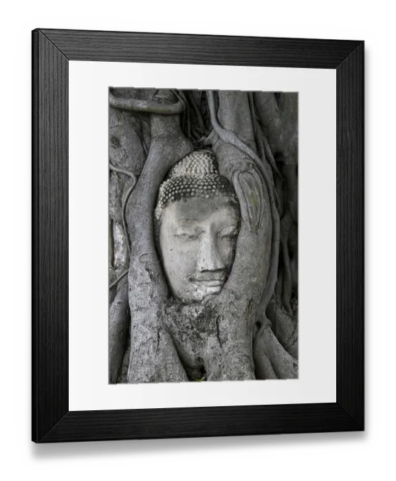 Framed Print : Sandstone Buddha head at the foot of a Bodhi tree in Wat Mahathat