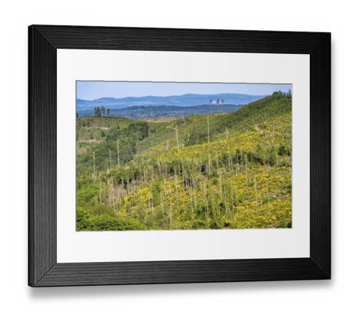 Framed Print : Landscape west of Hallenberg, in the Hochsauerland district Framed Print : Landscape west of Hallenberg, in the Hochsauerland district