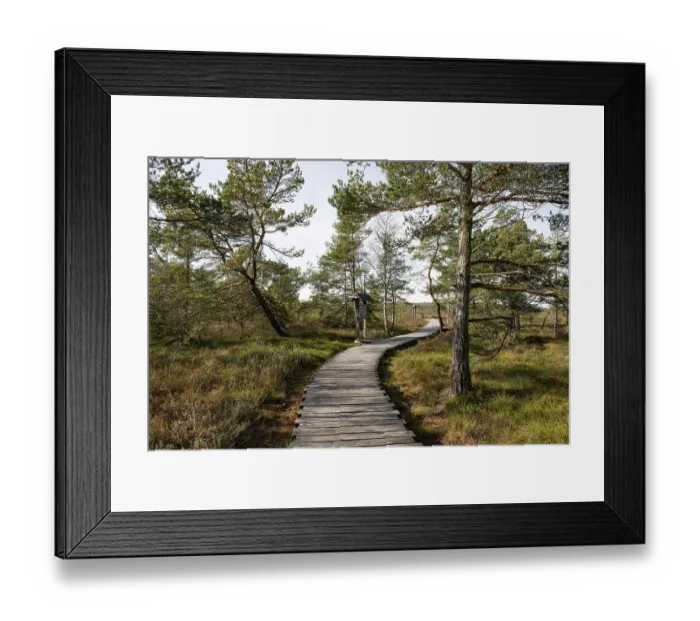Framed Print : Plank path through the Black Moor Framed Print : Plank path through the Black Moor