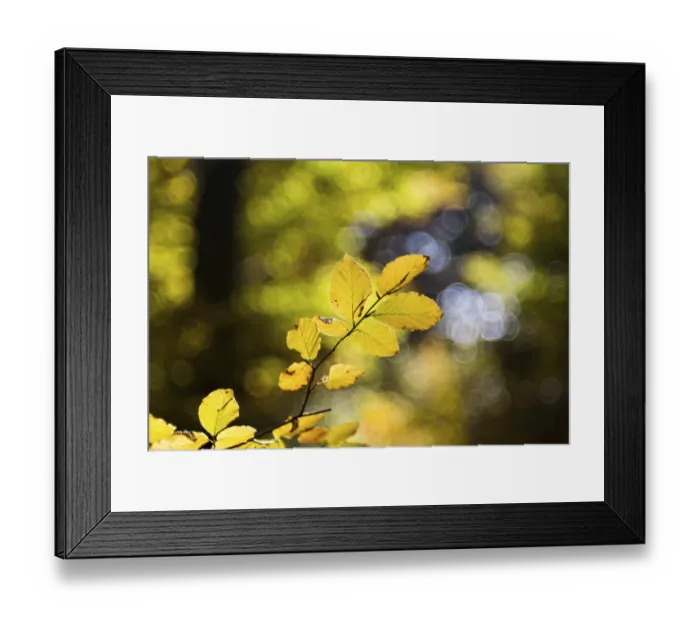 Framed Print : Indian summer in the Swabian Alb Framed Print : Indian summer in the Swabian Alb