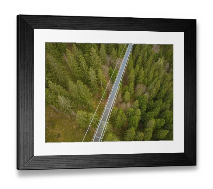 Framed Print : Bridge filmed from a height over a coniferous forest with dense treetops