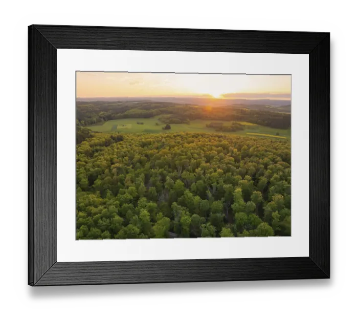 Framed Print : Expansive view of a forest and open fields in the sunset light Framed Print : Expansive view of a forest and open fields in the sunset light