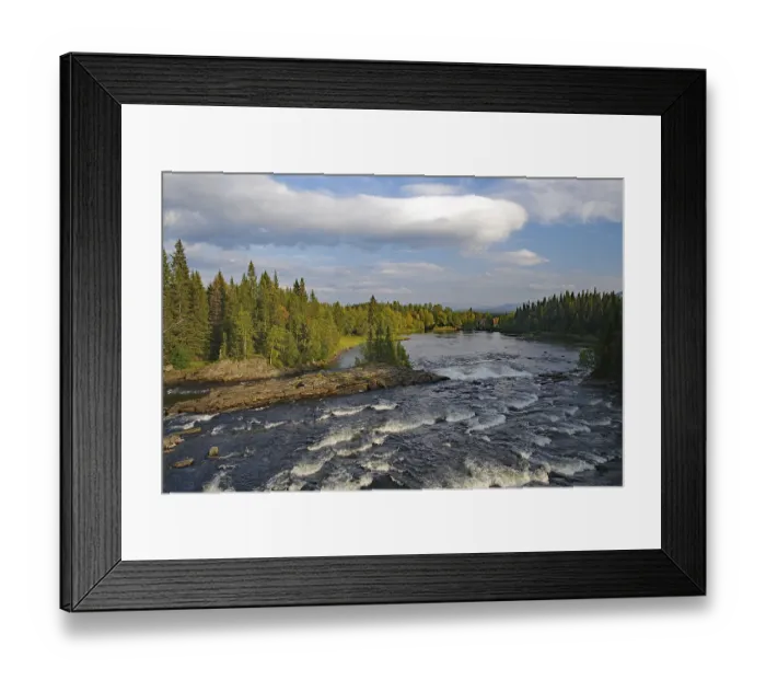 Framed Print : River flowing through a dense coniferous forest under a partly cloudy sky