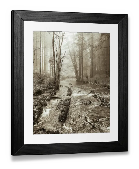 Framed Print : Zellerache flows through autumn forest in morning mist Framed Print : Zellerache flows through autumn forest in morning mist