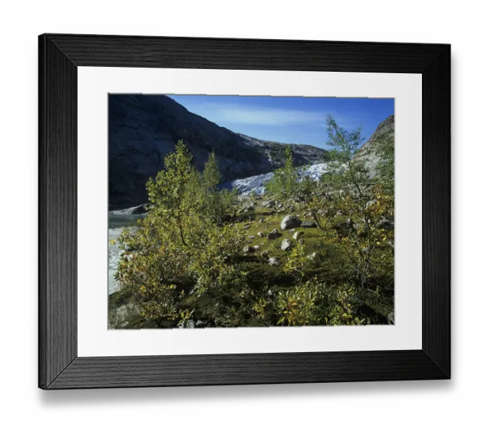 Framed Print : Landscape at Nigardsbreen, one of the glacier arms of Jostedalsbreen Framed Print : Landscape at Nigardsbreen, one of the glacier arms of Jostedalsbreen