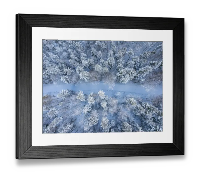 Framed Print : Narrow, snow-covered path through a quiet winter forest