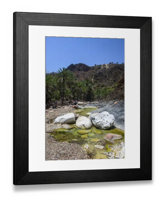 Framed Print : Socotra Dragon Tree or Dragon Blood Tree (Dracaena cinnabari) forest