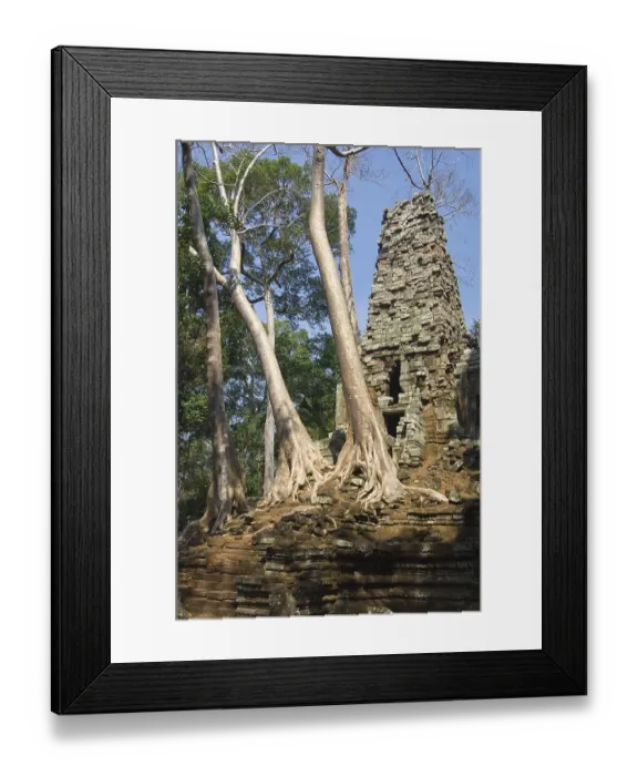 Framed Print : Ruins of the Preah Palilay temple overgrown with roots and trees