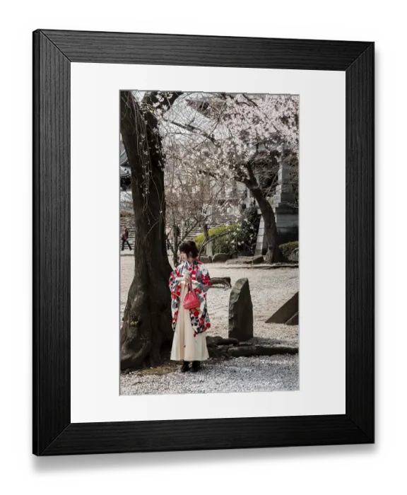 Framed Print : Japanese woman in traditional kimono under blossoming cherry tree Framed Print : Japanese woman in traditional kimono under blossoming cherry tree