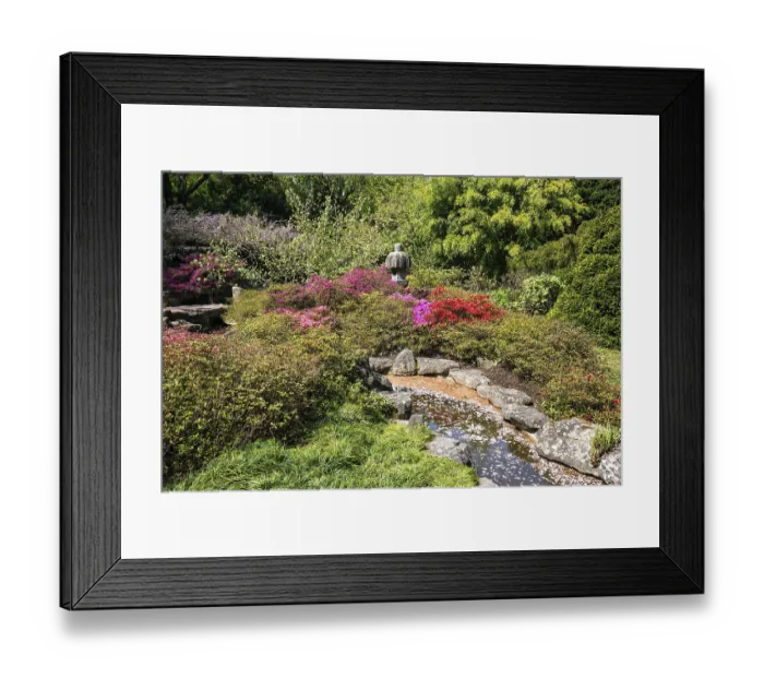 Framed Print : Flowering plants in the Japanese Garden