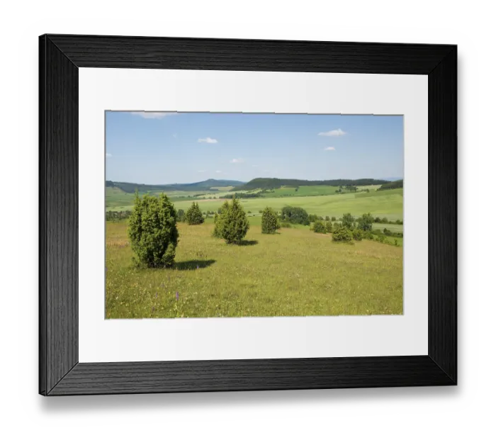 Framed Print : Juniper pastures, Wiesenthaler Schweiz nature reserve