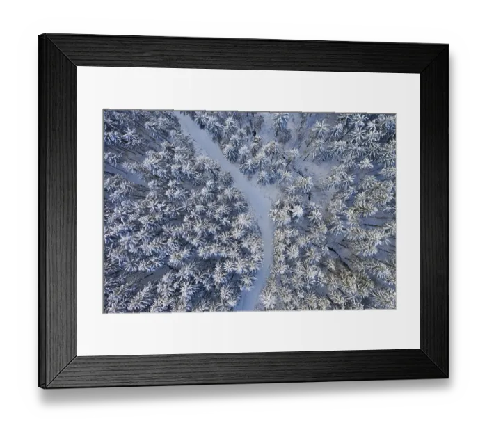 Framed Print : Snow covered spruce forest (Picea) with forest road from above