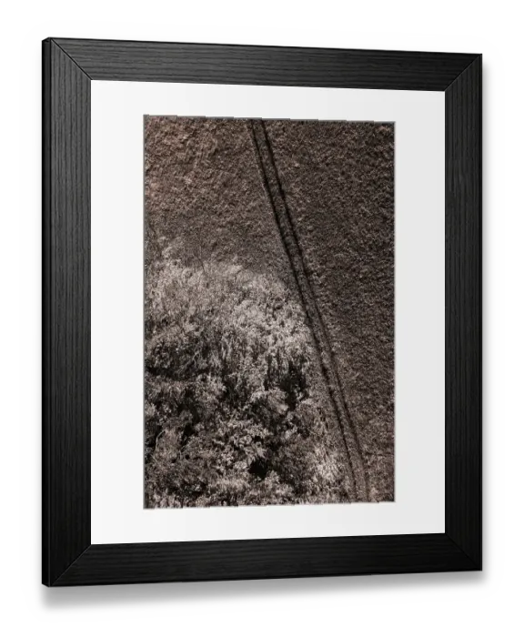 Framed Print : Sepia colours, autumnal deciduous forest with meadow path Framed Print : Sepia colours, autumnal deciduous forest with meadow path