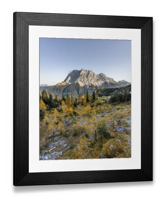 Framed Print : View of the Zugspitze, autumn colouring with yellow larches Framed Print : View of the Zugspitze, autumn colouring with yellow larches